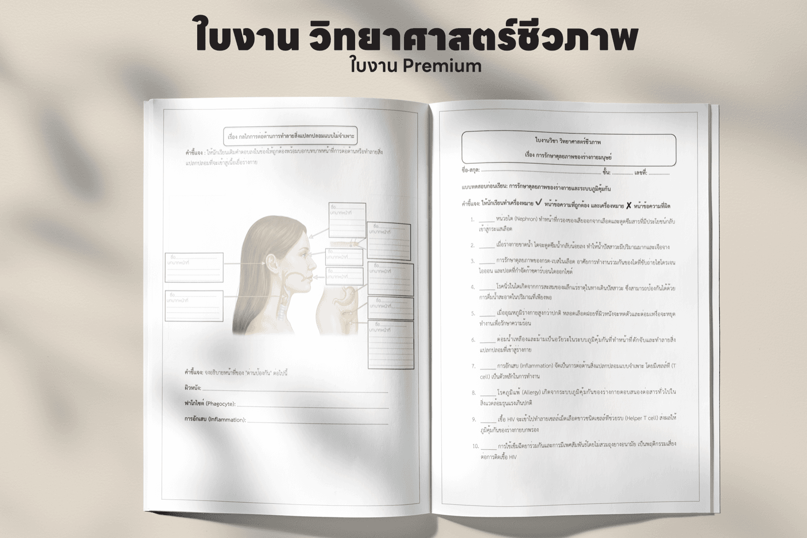 ตัวอย่างหน้าใบงาน บทที่ 3 — การดำรงชีวิตของพืช