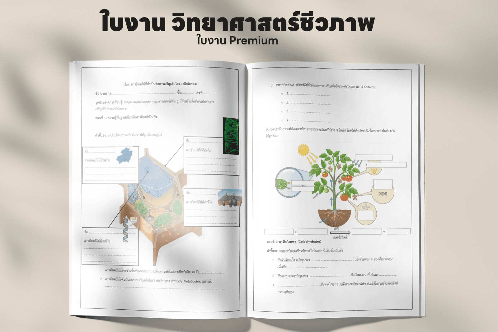 ตัวอย่างหน้าใบงาน บทที่ 4 — พันธุกรรมและวิวัฒนาการ