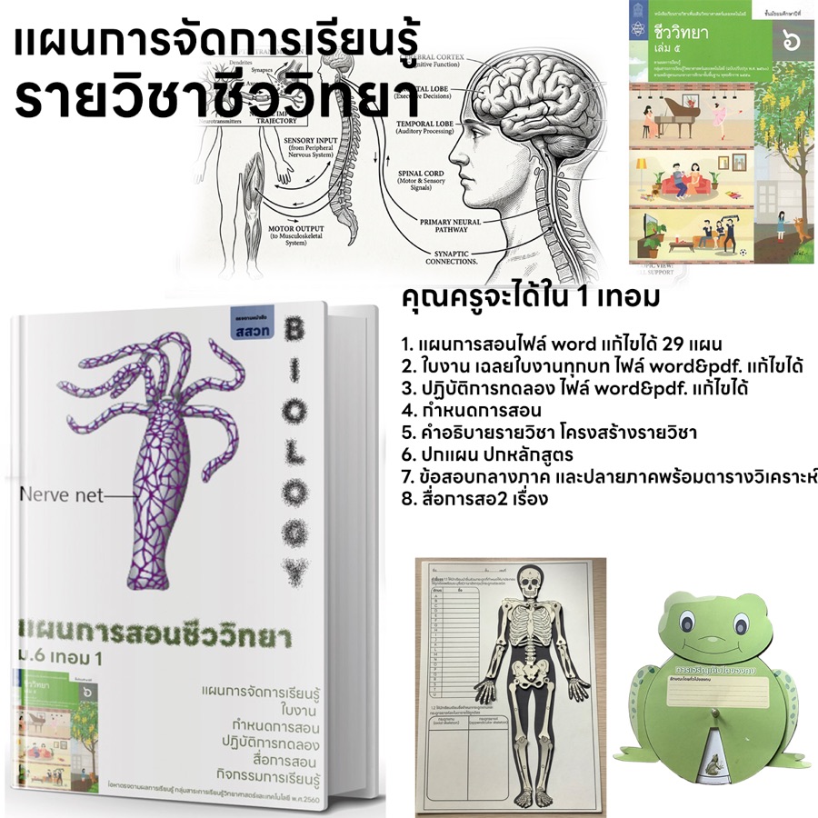 ปกชีววิทยา ม.6 เทอม 1