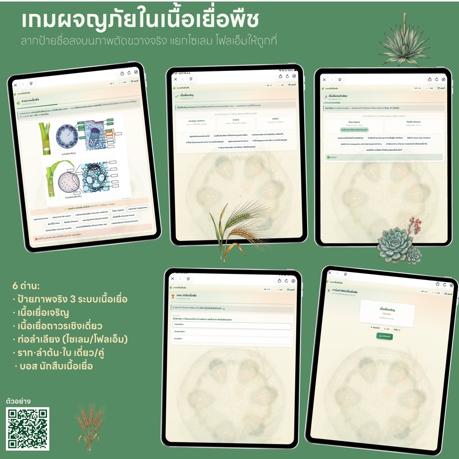 เกมผจญภัยในเนื้อเยื่อพืช (ม.5)