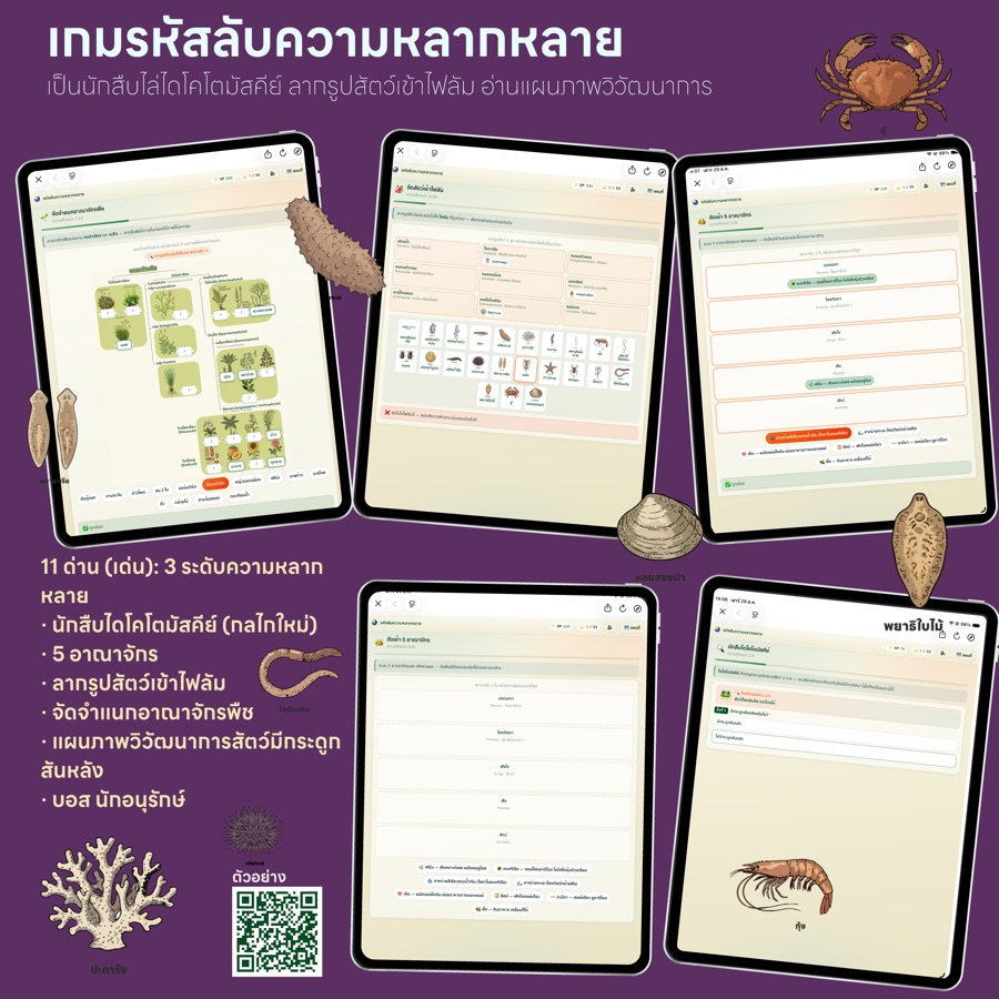 เกมรหัสลับความหลากหลาย (ม.6)